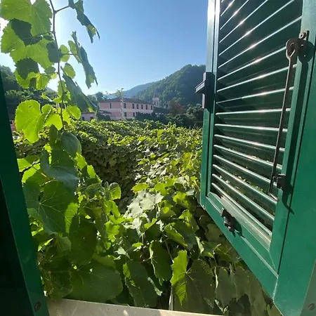 Casa Ivy דירה Serra Rocco