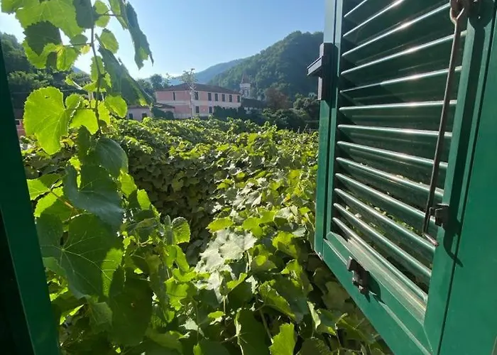 Casa Ivy 公寓 Serra Rocco